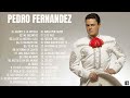 Pedro Fernandez Grandes Exitos 2022 -  Pedro Fernandez Sus Mejores Canciones