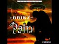Brikz Starz - Pain