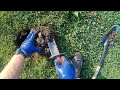 Watch Me Dig Up A 14k Gold Ring With My Vanquish 440 Metal Detector!