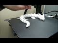 Articulated Dragon - 3D Print Time-lapse