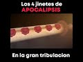 Apocalipsis