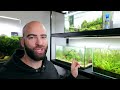 The Ecosystem Tank: HARDCORE MODE (Walstad Method, No Filter, Low Tech, Dirt, Aquascape Tutorial)