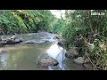 Keindahan Alam Pedesaan Tasikmalaya, Sungainya Adem!