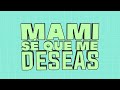 Daddy Yankee x Bad Bunny - X Última Vez (Video Lyric)