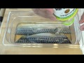 Shime Saba - Traditional Japanese Recipe for Sushi