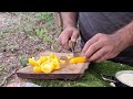 building a survival shelter inside an old tree/cooking pizza on fire/bushcraft shelter in heavy rain