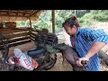 Daily life In The Farm Pig - How from banana tree to pig food - Building Farm A New Life