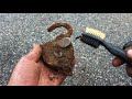 Incredible Rare Florida Pirate History Found Metal Detecting Best Finds