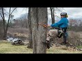 Tree Climber Tips For Tree Climbing on Spurs | Arborist Tree Climbing Techniques