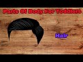 Parts Of Body For Toddlers || Body Parts Learning || Children Learning videos