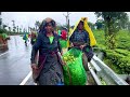 Monsoon Ride to Valaparai through Athirapally Forest | Vazhachal | Pollachi l Jasmin Nooruniza