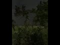 Stormy Ambience (Bangladesh)