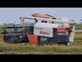 Kubota DC 105x Harvesting Rice, Great Work Safety Operator #EP296