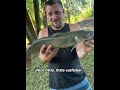 Watch till the end, would you keep it? #youtube #fishing #viral #shortvideo #family ￼