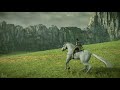 Items Showcase , Shadow of the Colossus PS4 Remake
