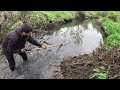 “BEAVERS WITNESSES THEIR APOCALYPSE” Beaver Dam Removal