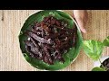 Sen Lod/Sen Hang | Lao Beef Jerky