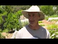 Designing a backyard market garden to feed the local community | Discovery | Gardening Australia