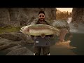 I Got 8 Diamonds on these CRAZY Hotspots! - Call of the Wild theAngler