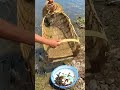 Best Unique Net Tools Fish Trap  Of Catching Lot Of Fish🐟🎣#shorts #viral #fishing