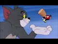 Tom & Jerry in italiano | U-u-u-uccellino! | WB Kids