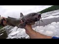 Fishing For Big Fish On The Flooded Mississippi River!