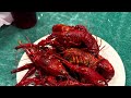 Feast Buffet | Largest Buffet In Texas? | Houston, Texas | Katy, Texas