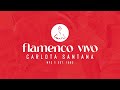 Flamenco Vivo Carlota Santana presents FRONTERAS at La Mirada Theatre on April 6, 2024!