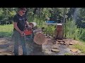 Why I LOVE this chainsaw: Husqvarna 55 #indianadoug