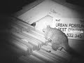urban possum and pest control 0406533345