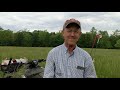 Greg Judy identifys grass species in paddock.
