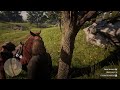 Red Dead Redemption 2 Oops!