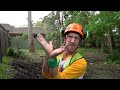 Tree Chopping Video For Kids | Chainsaw, Wood Chipper, Excavator, Tree Climbing Fun With Ozzie