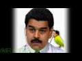 El Pajarito - Nicolas Maduro (Ger Electronic Remix)