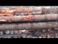 Long Log Loads 1