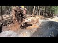 Using the stump ripper on a job and clearing/hauling debris away