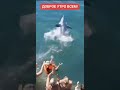 В ОЧЕРЕДЬ ЗА ПОЦЕЛУЕМ!!!🌊🐬 (С НАМИ БОГ)