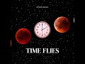 Time Flies - VynallDash