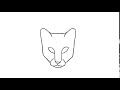 head turn test_cat