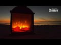 A Florida yule log from the shores of Tampa Bay