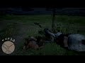 Red Dead Redemption 2 Horse Riding Fail.