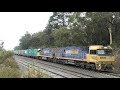 Pacific National Freights 1MW2 and 7SM2 at Heathcote Junction - 23/6/19