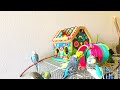 Birds for cats to watch, Happy parakeets chirping, Videos of birds for cats #budgies #birds #parrot