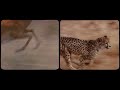 Thundercat & Tame Impala - 'No More Lies' (Official Visualizer)