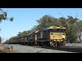 Two SSR SG Grain Trains on the North East Line & more - BRM001, GM10, 4904, 602