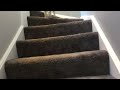 Beagle puppy learns how to go down stairs... FUNNY ENDING