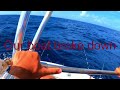 Puerto Morelos, Cancun - Deep sea fishing, Sport fishing 2023
