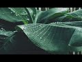 Relaxing Natural Rains Sound