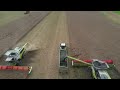 Rapsernte in den Abendstunden mit Claas Lexion 8900 und Fendt