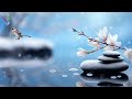 Relaxing Massage Music 🌿 Spa Music, Meditation Music, Yoga 🌿 Helps Relax Mind and Body